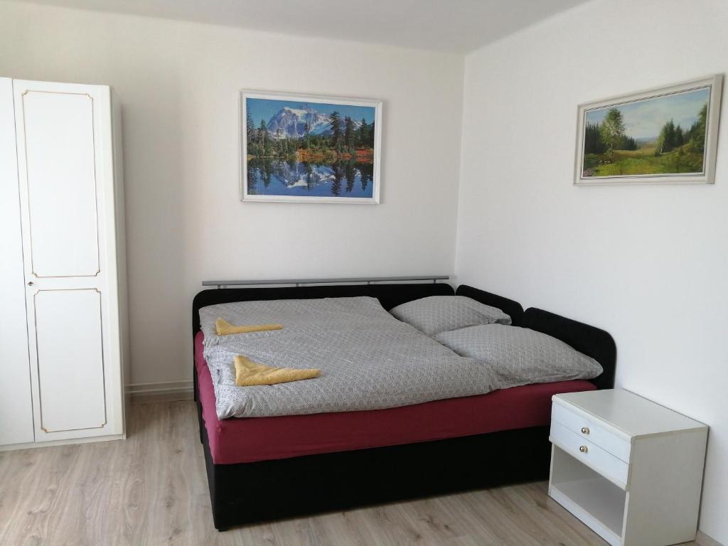Apartmán Hugo room 4